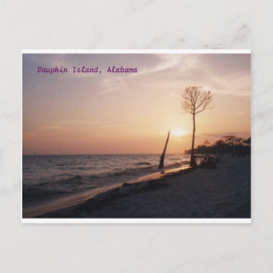Dauphin Island Postcard