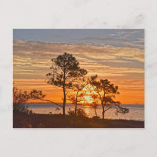 Dauphin Island Refuge Sunrise, Alabama Postcard