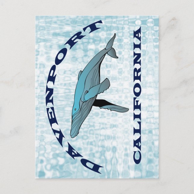 Davenport California Whale   Postcard (Front)