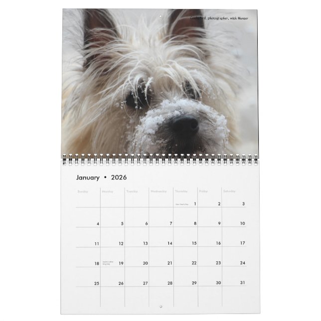 Dave's Garden 2016 Calendar (Jan 2026)