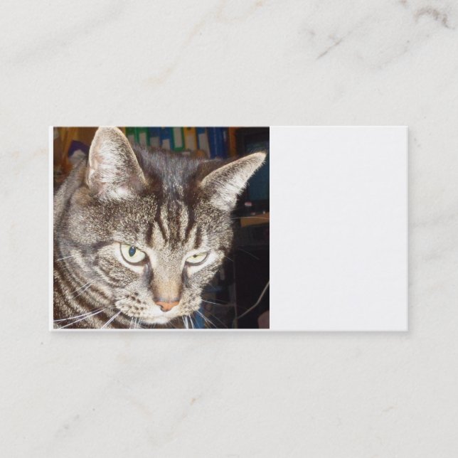 Dave's Watching You Business Cards (Front)