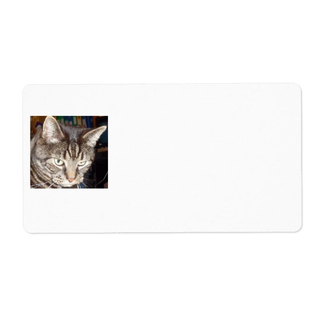 Dave's Watching You Shipping Labels (Front)