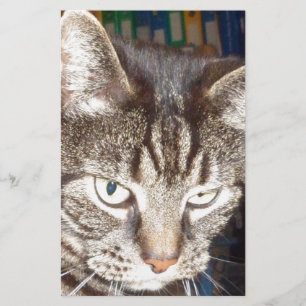 Dave's Watching You Stationery