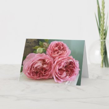 David Austin English Roses Heritage Mothers Day Card by DarkChocolateQueen at Zazzle