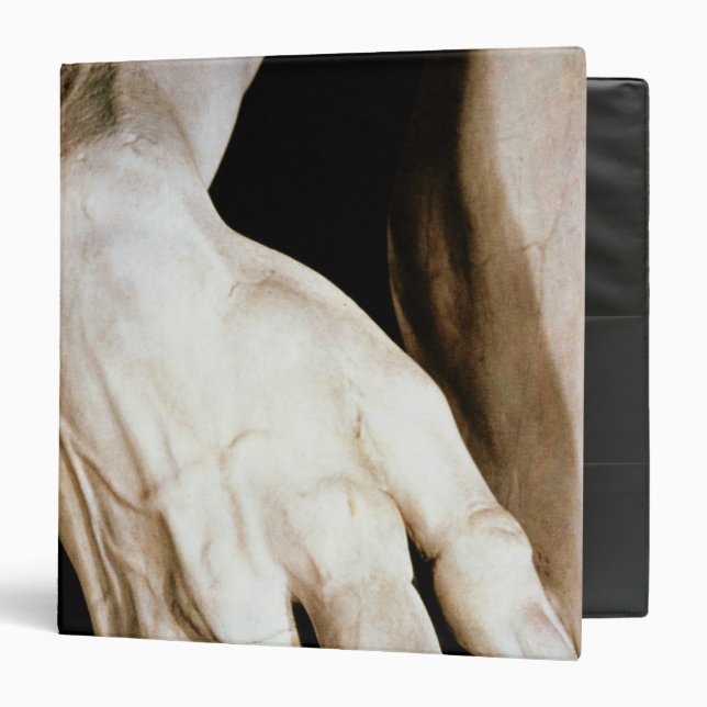David by Michelangelo Buonarroti , 1501-04 3 Ring Binder (Front/Inside)