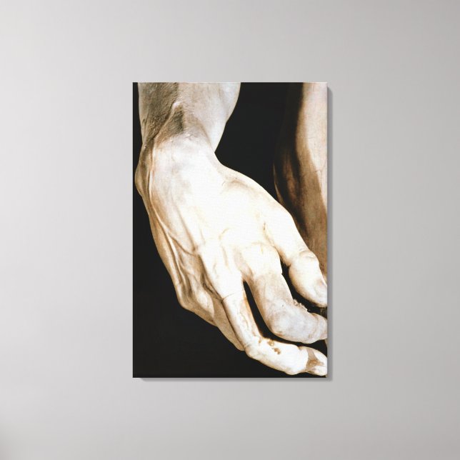 David by Michelangelo Buonarroti , 1501-04 Canvas Print (Front)