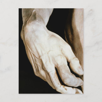 David by Michelangelo Buonarroti , 1501-04 Postcard