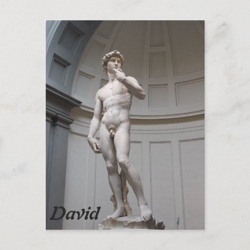 David by Michelangelo_ Florence Postcard