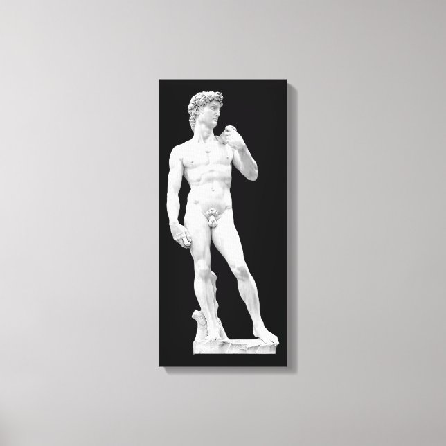 David by Michelangelo Wrapped Canvas Print (Front)