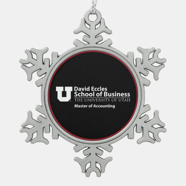 David Eccles - Master of Accounting Snowflake Pewter Christmas Ornament (Front)