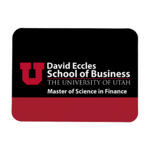 David Eccles - Master of Science in Finance Magnet
