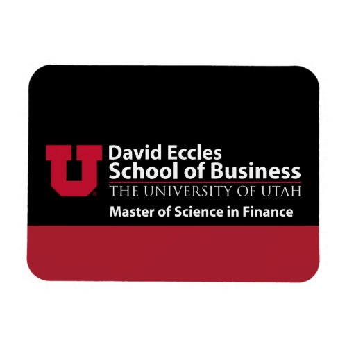 David Eccles _ Master of Science in Finance Magnet