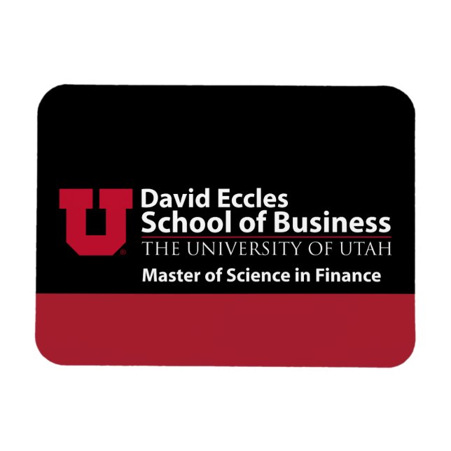 David Eccles - Master of Science in Finance Magnet (Horizontal)