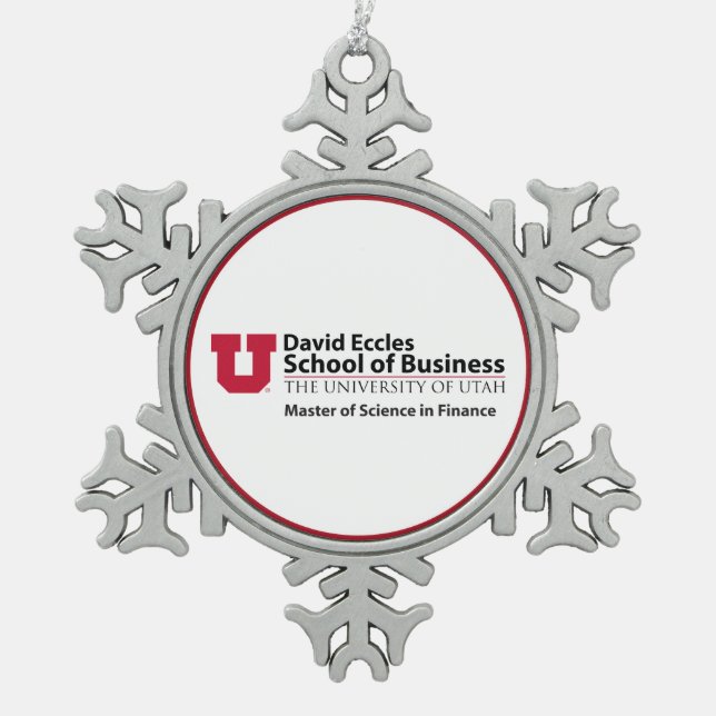David Eccles - Science in Finance Snowflake Pewter Christmas Ornament (Front)