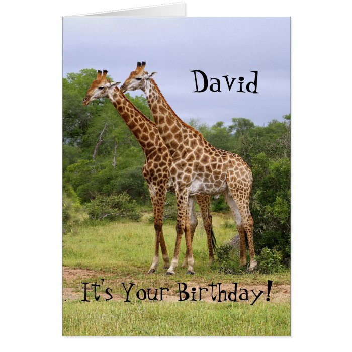 David "Go Wild" Happy Birthday Giraffes Card