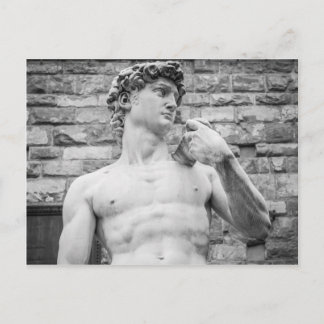 David (Michelangelo) Postcard