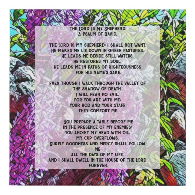 David Psalm 23 biblical quote Faux Canvas Print (Front)