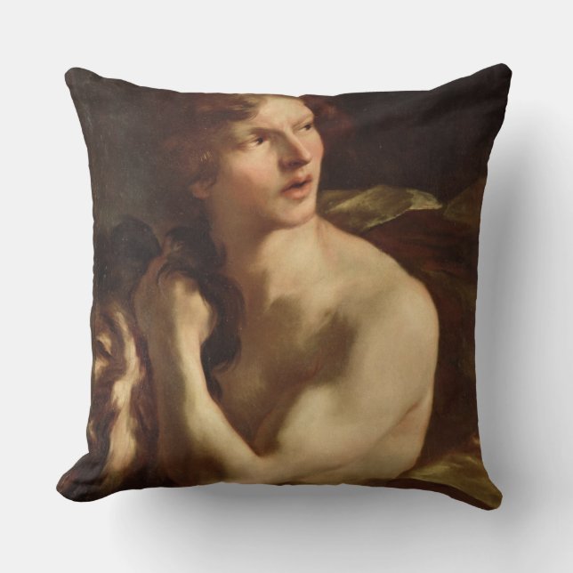 David Throw Pillow (Front)