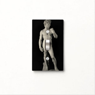 David Toggle Light Switch Cover