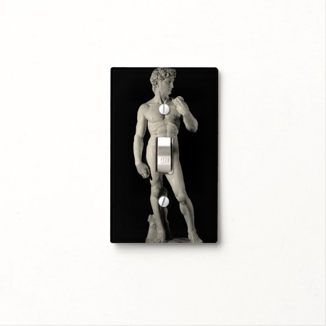 David Toggle Light Switch Cover (In Situ)