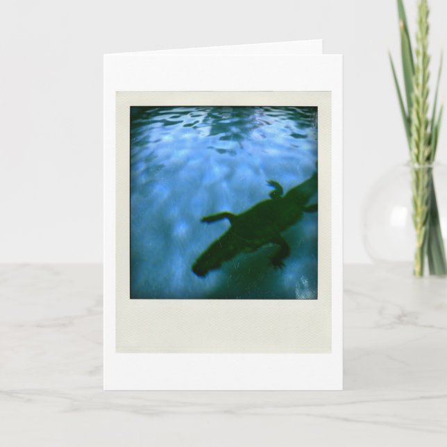 David's Pool 05b06 3d Computer Art card (Front)