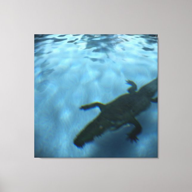 DAVID'S POOL SERIES p05b Canvas Print (Front)