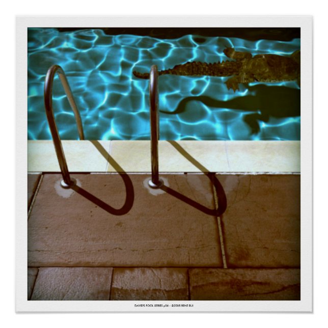 DAVID'S POOL SERIES p06- 3D Computer ART Poster (Front)