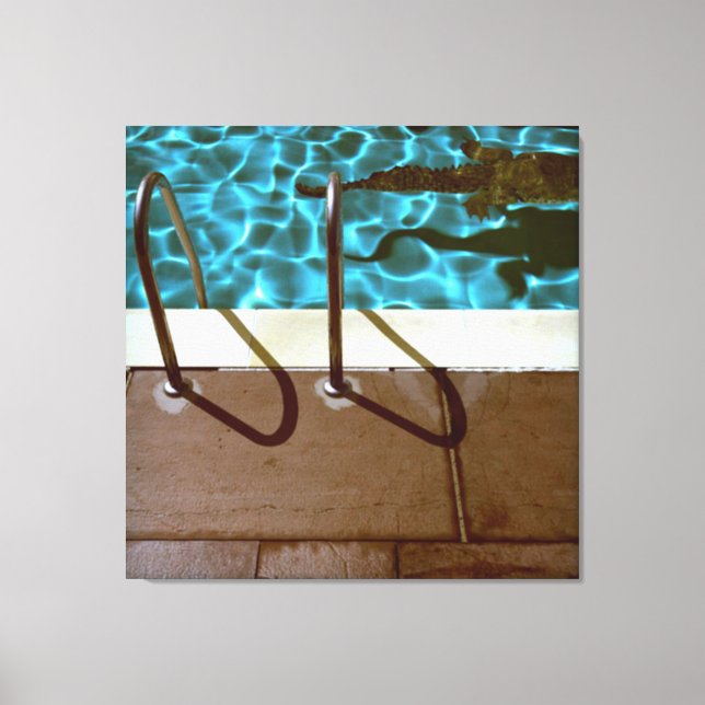 DAVID'S POOL SERIES p06 Canvas Print (Front)