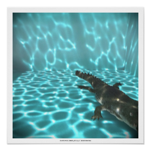DAVID'S POOL SERIES p07c flou3- 3D Computer ART Poster (Front)