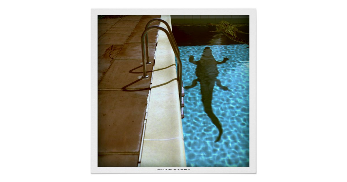 David S Pool Series P08b 3d Computer Art Poster Zazzle Com