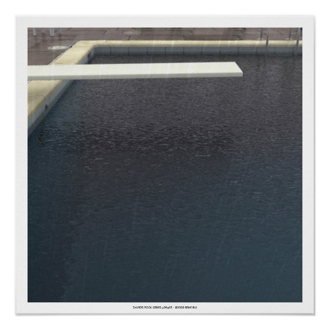 DAVID'S POOL SERIES p09e05- 3D Computer ART Poster (Front)