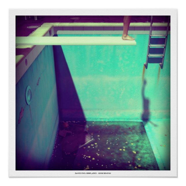DAVID'S POOL SERIES p09f21- 3D Computer ART Poster (Front)