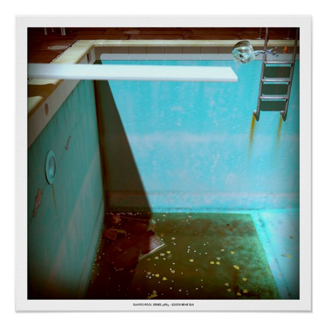 DAVID'S POOL SERIES p09g- 3D Computer ART Poster (Front)