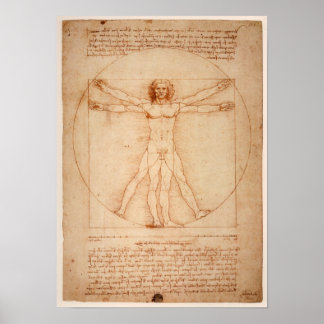 DaVinci Man Poster