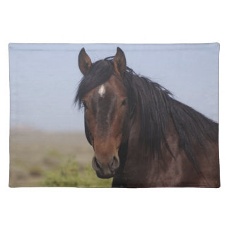 Davy G Cloth Placemat