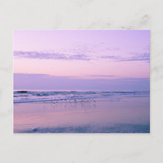 Dawn at the Beach Postcard