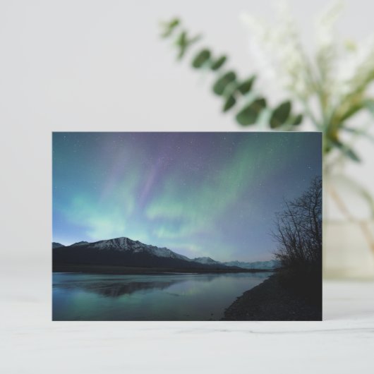 Dawn Aurora (Standing Front)