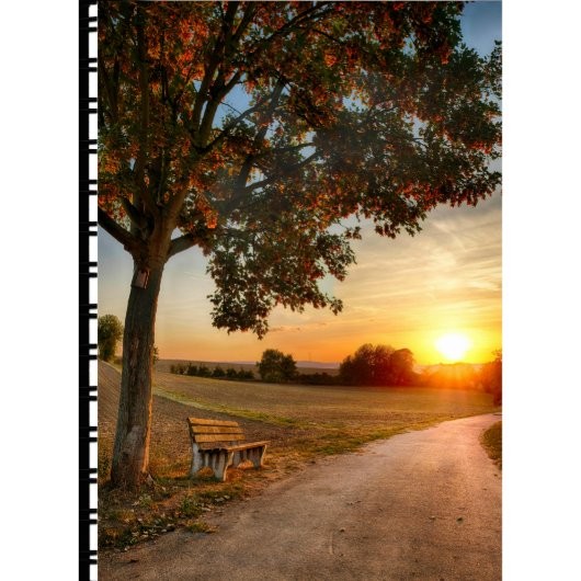 Dawn Day Planner (Front)