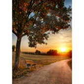 Dawn Day Planner (Front)