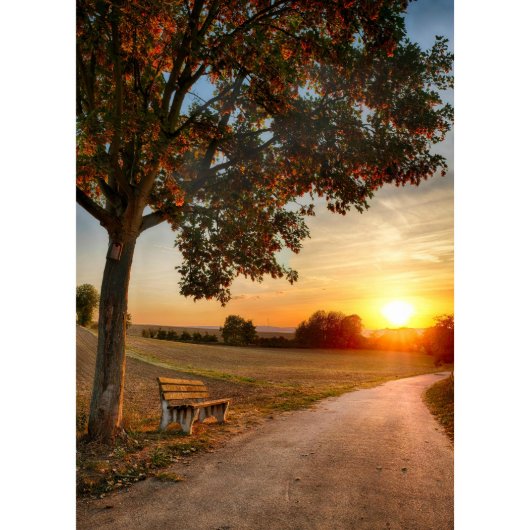 Dawn Day Planner (Front)