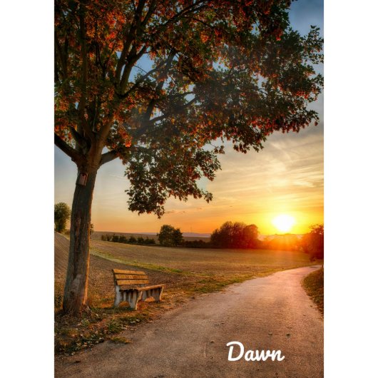 Dawn Day Planner (Front)
