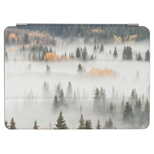 Dawn Ground Fog Covers Mountain Forest