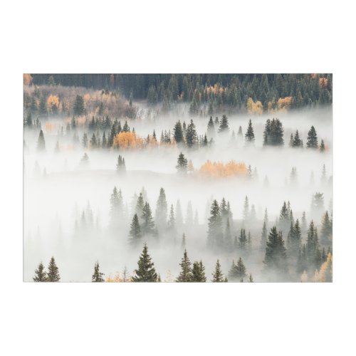 Dawn Ground Fog Covers Mountain Forest Acrylic Print