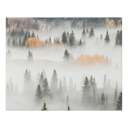 Dawn Ground Fog Covers Mountain Forest Faux Canvas Print