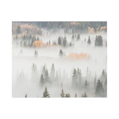 Dawn Ground Fog Covers Mountain Forest Gallery Wrap