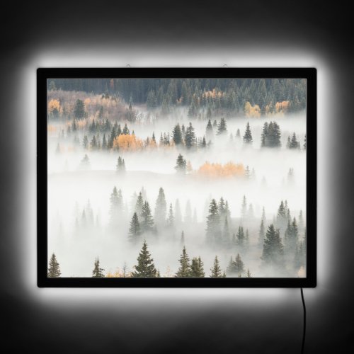 Dawn Ground Fog Covers Mountain Forest LED Sign