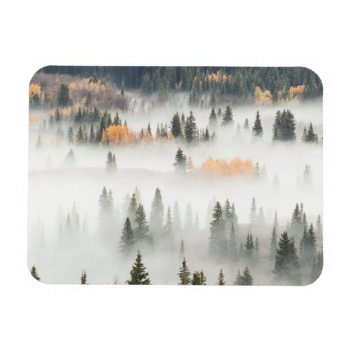 Dawn Ground Fog Covers Mountain Forest Magnet