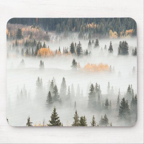 Dawn Ground Fog Covers Mountain Forest Mouse Pad