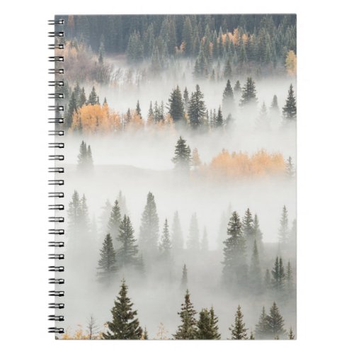 Dawn Ground Fog Covers Mountain Forest Notebook