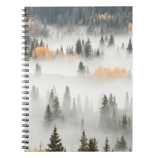 Dawn Ground Fog Covers Mountain Forest Notebook (Front)